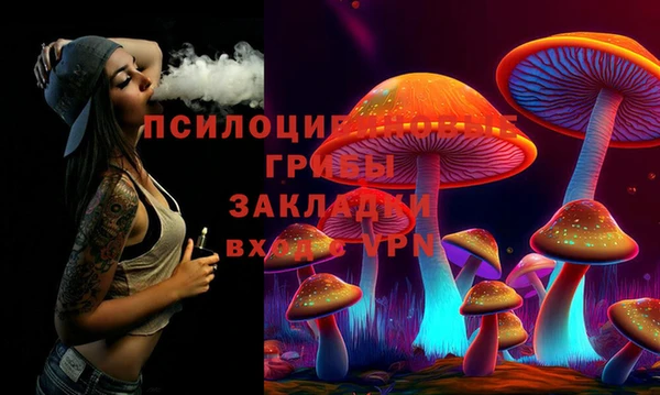 твердый Лабытнанги