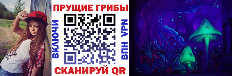 Галлюциногенные грибы мицелий  Куровское 