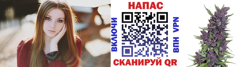 Марихуана AK-47  купить наркоту  Куровское 